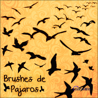飞鸟剪影图形PS笔刷素材-玩吧资源站