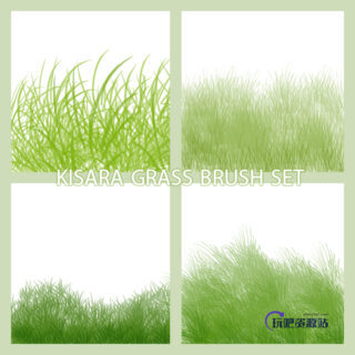 植物素材青草、小草、草丛纹理PS笔刷-玩吧资源站