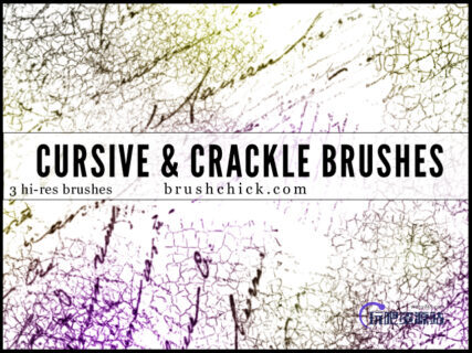 疯狂的裂纹、裂缝材质PS笔刷下载-玩吧资源站