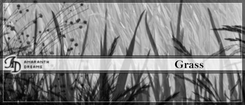 植物素材青草、小草丛图案PS笔刷-玩吧资源站