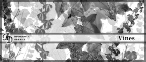 藤蔓植物、爬山虎枝叶PS笔刷-玩吧资源站