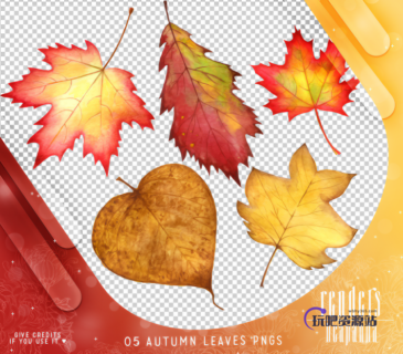 秋天落叶、枫叶、梧桐叶子PS笔刷素材（PNG图片格式）-玩吧资源站
