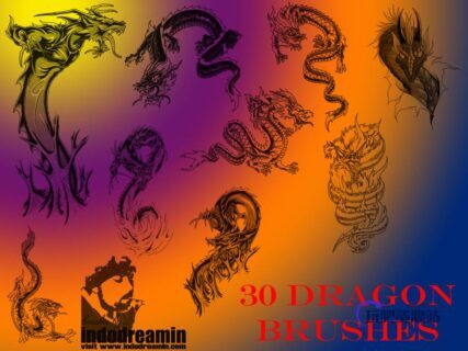 30种西方恶龙纹身、中国青龙图腾刺青PS笔刷素材-玩吧资源站