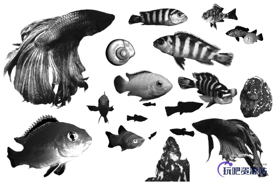 金鱼、海洋生物、小丑鱼、鱼PS笔刷下载