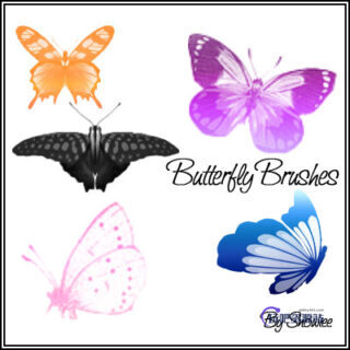 蝴蝶图案、昆虫蝴蝶PS笔刷下载-玩吧资源站