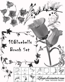 10种漂亮的鲜花花束、花纹装饰PS笔刷素材-玩吧资源站