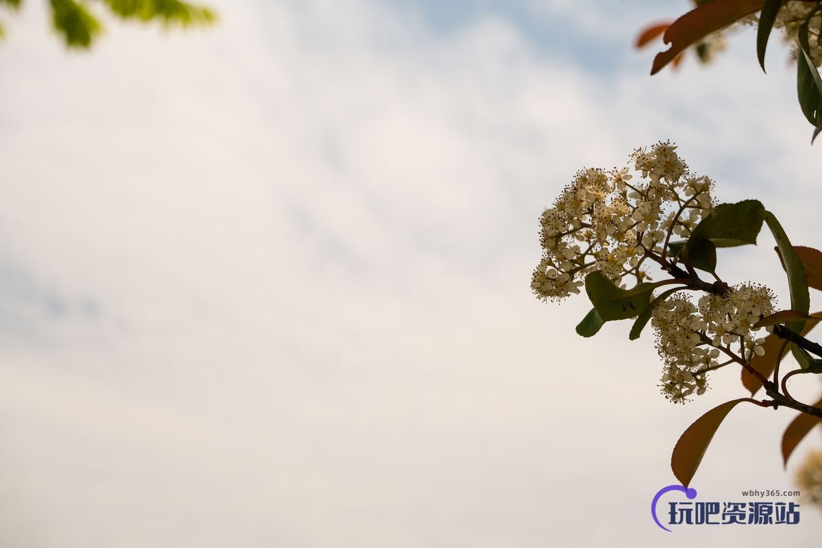 免费商用！春暖花开天空背景照片PS素材下载