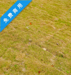 免费商用授权!春天的人工草皮、草坪、草地高清照片(6240X4160像素)-玩吧资源站