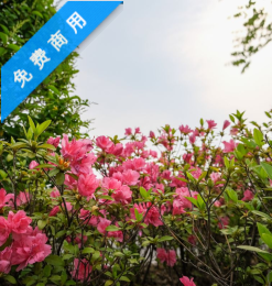 免费商用版权！春天先后背景高清照片PS素材下载-玩吧资源站