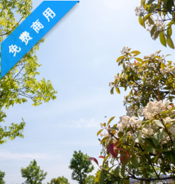 春天的下的蓝天背景图片PS素材下载!免费商用版权-玩吧资源站