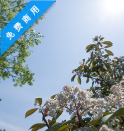 春天阳光下的背景PS图片素材免费下载!无限商用-玩吧资源站