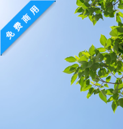 蓝天树叶背景PS素材图片(JPG格式,免费商用)6240X4160 像素-玩吧资源站