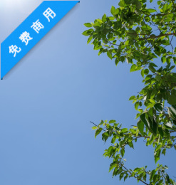 阳光下树荫背景PS笔刷素材(JPG格式,免费商用)6240X4160 像素-玩吧资源站