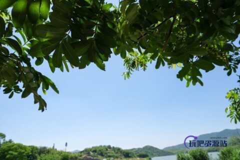 可免费商用！树叶天空融合背景图片照片素材免费下载-玩吧资源站