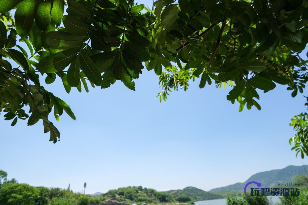 可免费商用！树叶天空融合背景图片照片素材免费下载