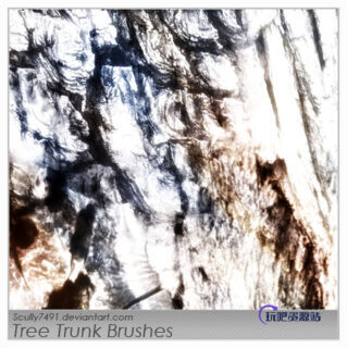 粗糙树干、树皮纹理PS笔刷素材-玩吧资源站