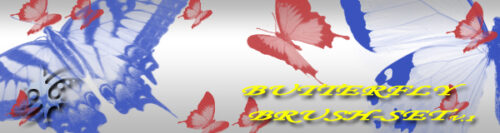 漂亮的蝴蝶、彩蝶标本图案PS笔刷素材-玩吧资源站