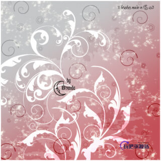 精美的植物蕨类印花图案PS笔刷素材-玩吧资源站