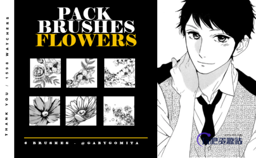 手绘精美的植物鲜花图案Photoshop笔刷素材-玩吧资源站