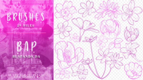 29种盛开的花朵花纹图案PS鲜花笔刷素材-玩吧资源站