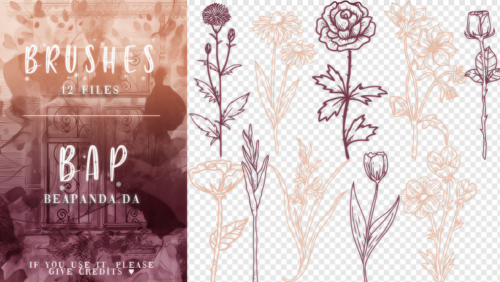12种手绘鲜花花束图案PS笔刷素材-玩吧资源站