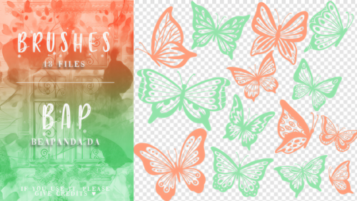 18种蝴蝶花纹、彩蝶图案PS笔刷素材-玩吧资源站