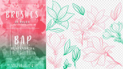 10种手绘百合花纹图案PS笔刷素材-玩吧资源站