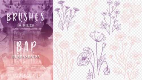 10种植物花纹图案、手绘鲜花花纹PS笔刷素材-玩吧资源站