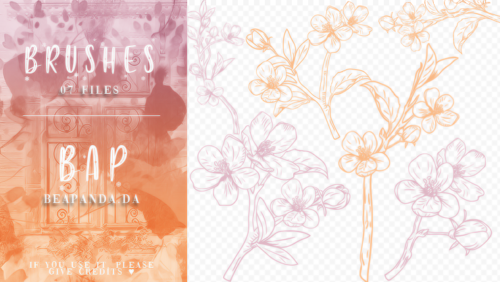 手绘漂亮桃花花纹、花束PS笔刷素材-玩吧资源站