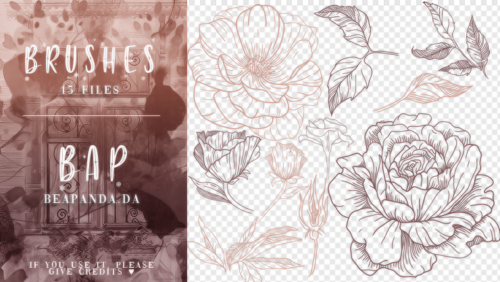 15种玫瑰花花朵、叶子手绘图案PS笔刷素材-玩吧资源站