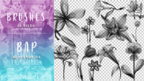 虚幻光影花朵、鲜花图案PS光影特效笔刷-玩吧资源站