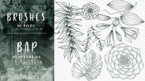素描式花朵、叶子图案PS笔刷素材-玩吧资源站