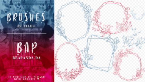 手绘小巧精美的花纹圆形边框图案PS笔刷素材-玩吧资源站