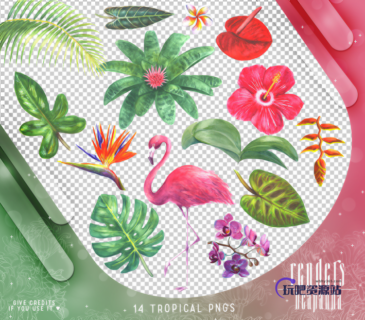 水彩绿叶、植物花朵、火烈鸟图案PS笔刷素材（PNG图片格式）-玩吧资源站