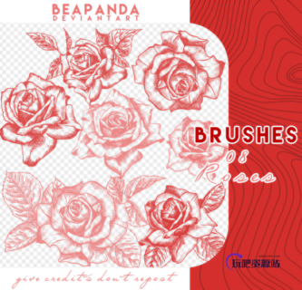漂亮的精致手绘玫瑰花朵、鲜花花朵图案PS笔刷素材-玩吧资源站