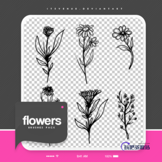 童趣手绘鲜花花朵图案PS笔刷素材-玩吧资源站