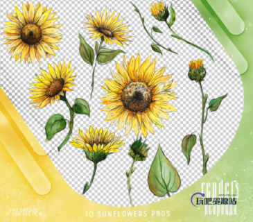 手绘太阳花、向日葵图形PS笔刷素材（PNG格式）-玩吧资源站