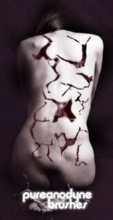 龟裂、开裂、裂缝纹理表层PS笔刷素材-玩吧资源站