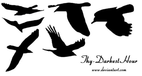 飞鸟姿态剪影图像Photoshop笔刷素材-玩吧资源站