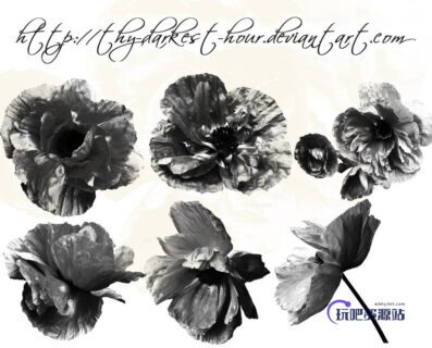 漂亮的蜀葵、盛开的花朵图案PS笔刷素材-玩吧资源站