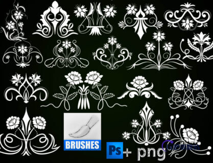 高贵的贵族印花图案PS植物花纹装饰笔刷-玩吧资源站