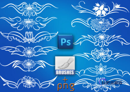 尊贵的植物印花图案Photoshop典雅欧式花纹笔刷-玩吧资源站