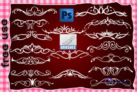漂亮的贵族线条植物花纹图案PS笔刷素材下载-玩吧资源站