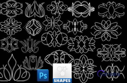 手绘线条植物花纹图案photoshop自定义形状素材 .csh 下载-玩吧资源站