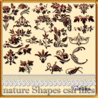 欧式贵族印花、富贵花纹图案photoshop自定义形状素材 .csh 下载-玩吧资源站