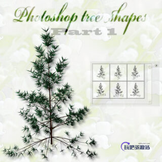 树木、小树、装饰树枝图案photoshop自定义形状素材 .csh 下载-玩吧资源站