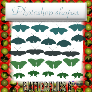 蝴蝶、飞蛾图像PS笔刷下载(csh格式,自定义形状)-玩吧资源站