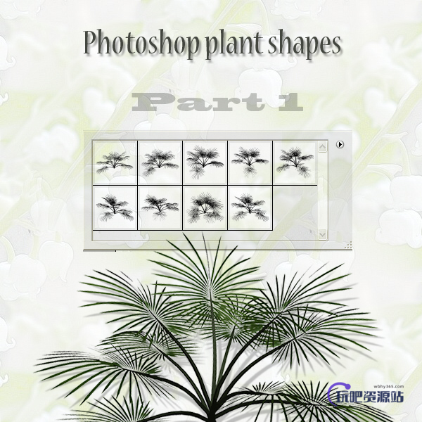 针松叶植物图案PS笔刷下载(csh格式，自定义形状)