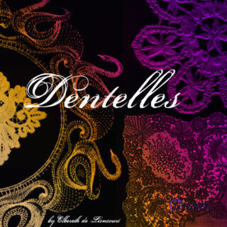 富贵逼人的蕾丝印花图案Photoshop笔刷素材-玩吧资源站