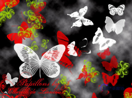 各种蝴蝶图案PS昆虫笔刷-玩吧资源站